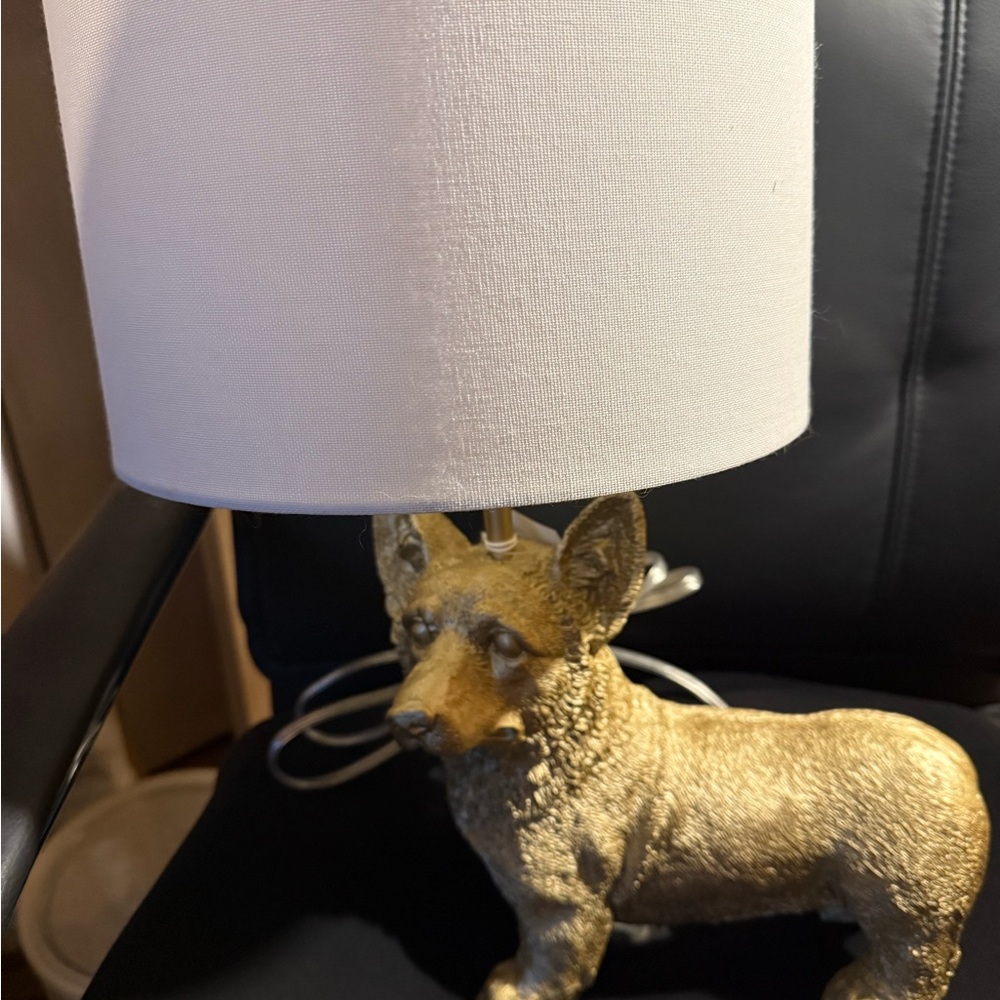 Marshall’s Viral Corgi Lamp